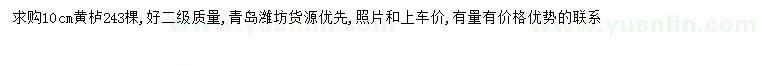 求購10公分黃櫨