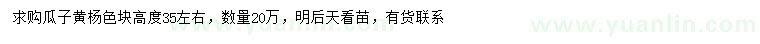 求購高35公分瓜子黃楊