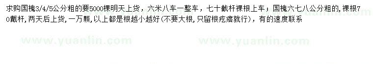 求購3、4、5、6、7、8公分國槐