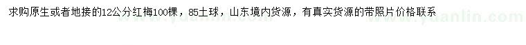 求購12公分紅梅