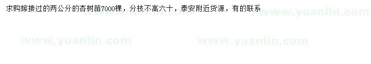 求購2公分杏樹(shù)