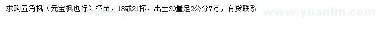 求購30量2公分五角楓、元寶楓