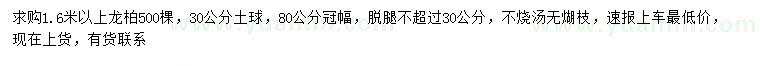 求購(gòu)1.6米以上龍柏