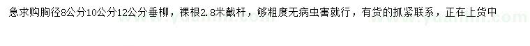 求購胸徑8、10、12公分垂柳