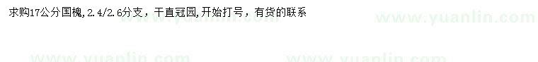 求購17公分國槐