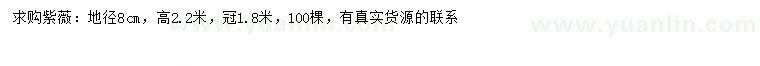 求購地徑8公分紫薇
