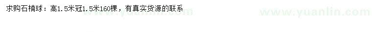 求購冠幅1.5米石楠球