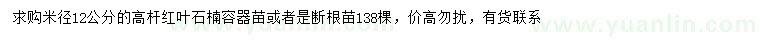 求購(gòu)米徑12公分紅葉石楠