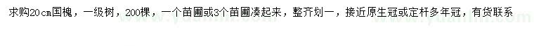 求購20公分國槐