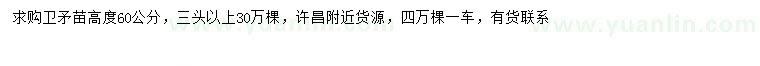 求購(gòu)高60公分衛(wèi)矛