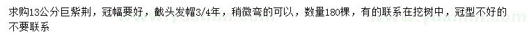 求購13公分巨紫荊