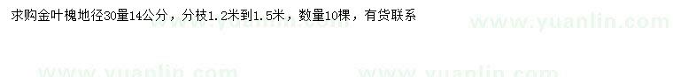求購30量14公分金葉槐