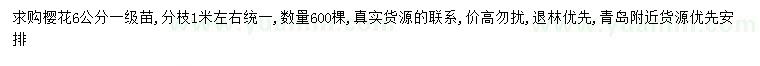 求購6公分櫻花