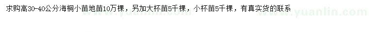 求購高30-40公分海桐小苗