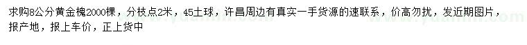 求購8公分黃金槐