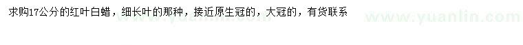 求購(gòu)17公分紅葉白蠟