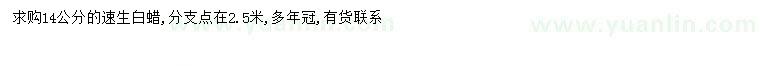 求購14公分速生白蠟