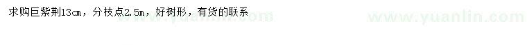求購13公分巨紫荊