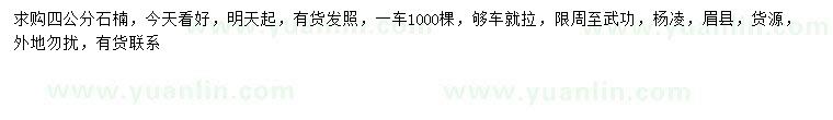 求購4公分石楠