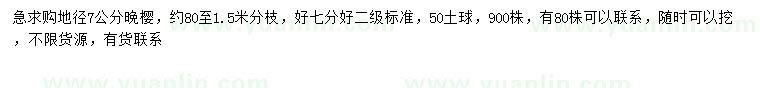 求購地徑7公分晚櫻