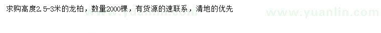 求購(gòu)高2.5-3米龍柏