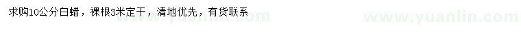 求購10公分白蠟