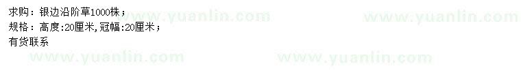 求購(gòu)高20公分銀邊沿階草