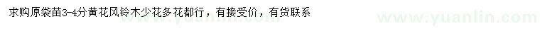 求購(gòu)3-4公分黃花風(fēng)鈴木