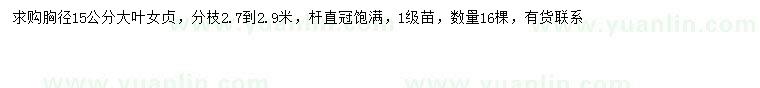 求購(gòu)胸徑15公分大葉女貞