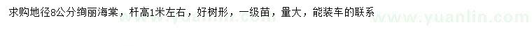 求購(gòu)地徑8公分絢麗海棠