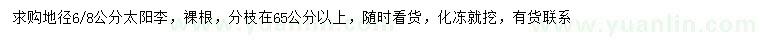 求購地徑6、8公分太陽李
