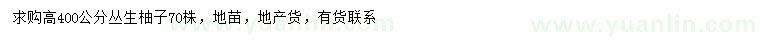 求購高40公分叢生柚子
