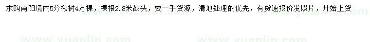 求購(gòu)5分楸樹