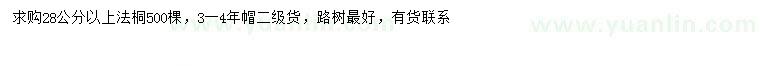 求購28公分以上法桐