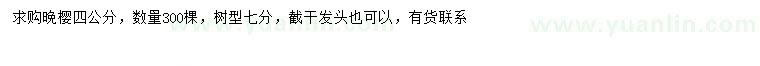 求購4公分晚櫻