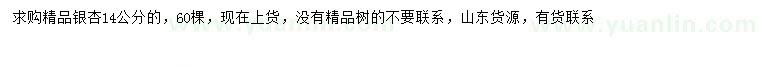 求購14公分銀杏
