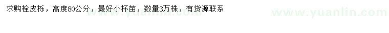 求購(gòu)高80公分栓皮櫟
