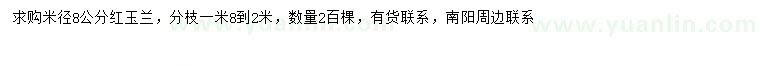 求購米徑8公分紅玉蘭