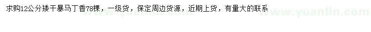 求購12公分暴馬丁香