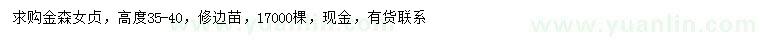 求購高35-40公分金森女貞