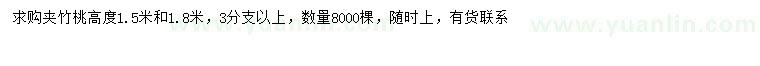 求購高1.5-1.8米夾竹桃