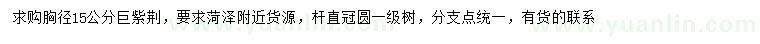 求購(gòu)胸徑15公分巨紫荊