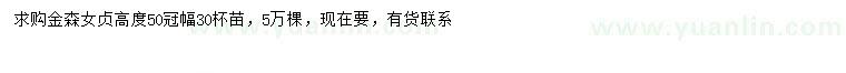 求購(gòu)高50公分金森女貞
