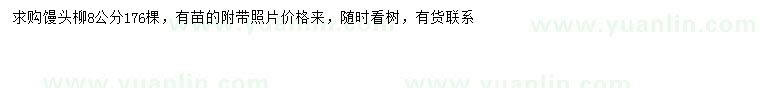 求購8公分饅頭柳
