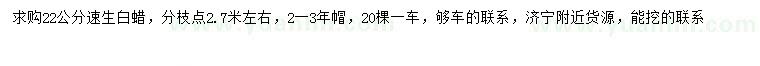 求購(gòu)22公分速生白蠟
