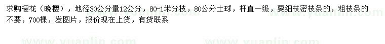 求購30量12公分晚櫻