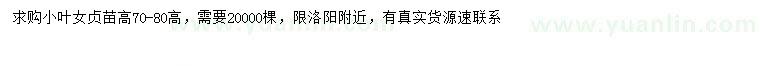 求購(gòu)高70-80公分小葉女貞