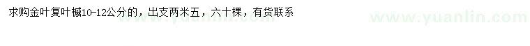 求購10-12公分金葉復葉槭