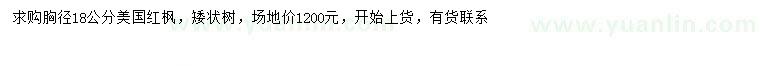求購(gòu)胸徑18公分美國(guó)紅楓