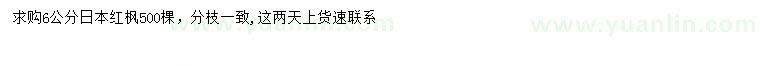求購6公分日本紅楓
